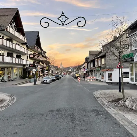 Gebirgsresort 303 Daire *