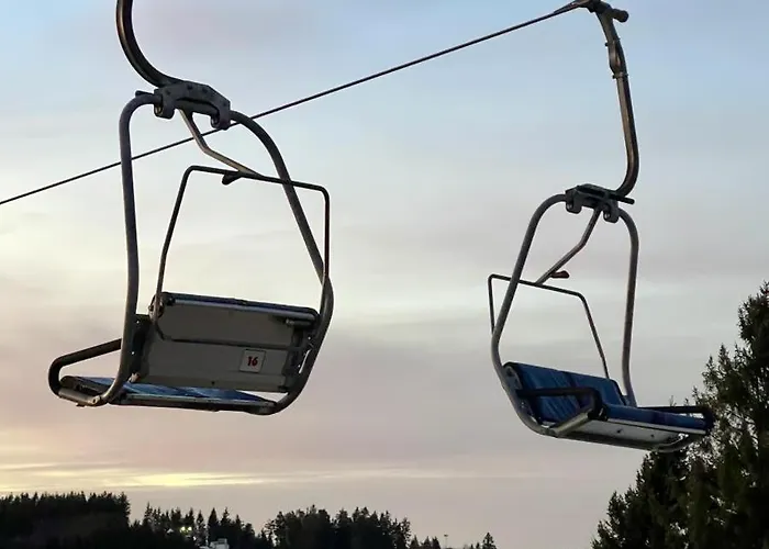 Gebirgsresort 303 Daire *